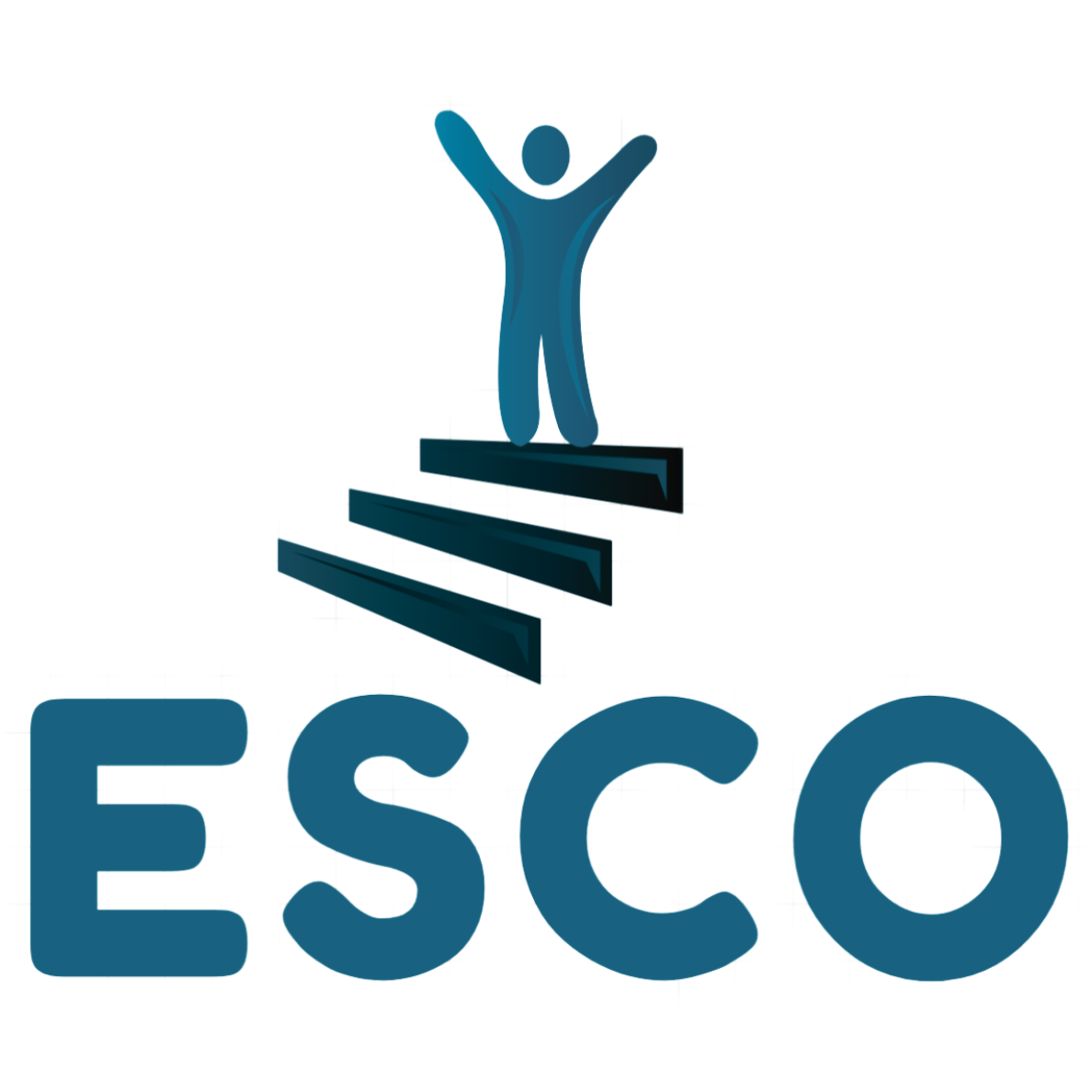 ESCO - Erwin Slootweg Coaching